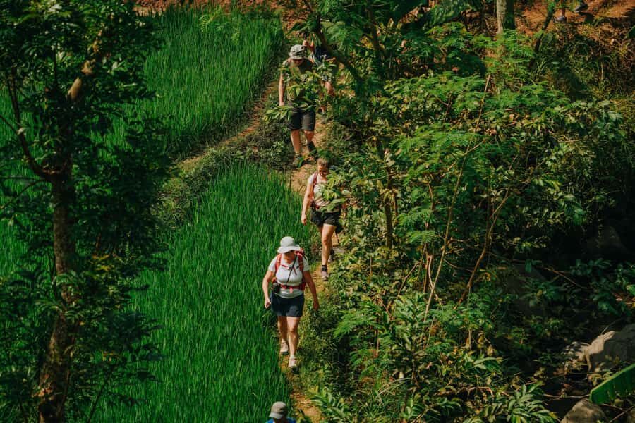 Yogyakarta: Merapi Sunrise Jeep and Trek with Lunch - The Scenic Trek Through Selogriyo