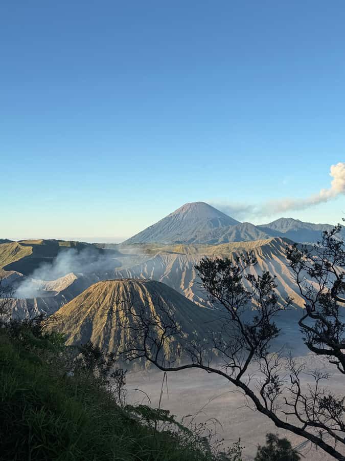Yogyakarta: Mount Bromo Sunrise Tour by Train 2D1N - Transportation and Group Size