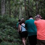 Yogyakarta : Mount Merapi Soft Trek and Botanic Village Tour - Exploring the Itinerary in Detail