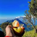 Yogyakarta: Mt Merbabu Guided Hike with Breakfast & Lunch - Why This Tour Offers Great Value
