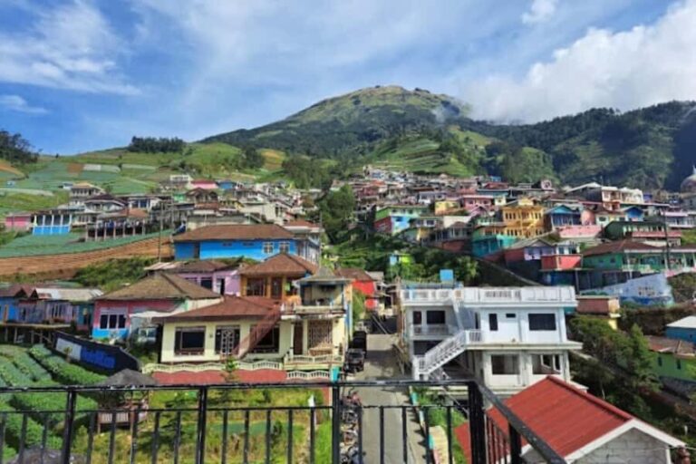 Yogyakarta : Nepal Van java & Kedung Kayang waterfall trip - What Makes This Tour Stand Out?