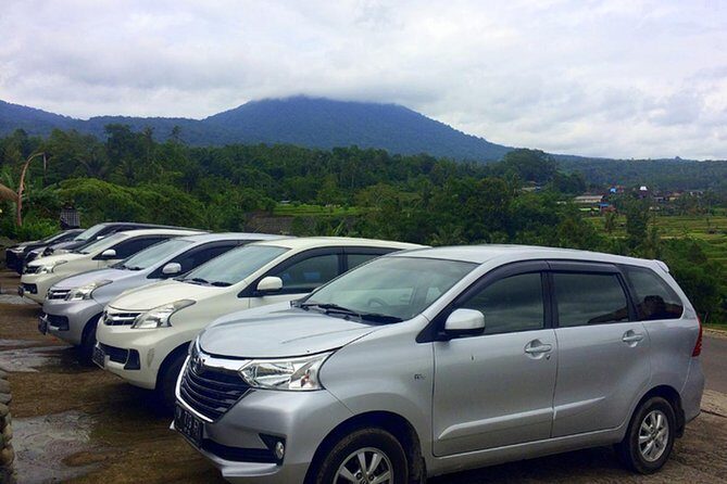 Yogyakarta Private Departure Transfer- Yogyakarta Hotel to Airport - Practical Considerations