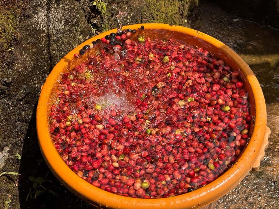 Yogyakarta: Rice Terrace Trek All Inclusive Guided Tour - What Does the Tour Include?