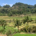 Yogyakarta: Selogriyo Temple and Candirejo Cycling Tour - The Sum Up
