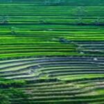 Yogyakarta Selogriyo Trek & Borobudur Drone Adventure - What Makes This Tour Shine