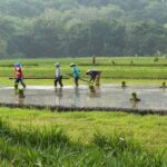 Yogyakarta: Village Cycling Tour with Local Snacks - Important Insights & Tips