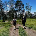 Yogyakarta: Volcano Mount Merapi Ecotourism Hiking Adventure - An In-Depth Look at the Mount Merapi Ecotourism Hike