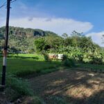 Yogyakarta: Volcano Trek, Cave Tubing & Temple Sunset - FAQ