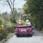 Yogyakarta : VW Borobudur English Guide Tour Medium Trip - What to Expect from the VW Borobudur Tour