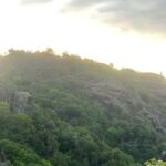 Yogyakarta:Merapi Jeep Tour, Keraton Yogyakarta & Taman Sari - Mount Merapi National Park: The Thrilling Off-Road Experience