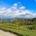 YokaBus Heritage in a Cup of a Yame Tea & Sake Tasting Expedition - Transportation, Duration, and Practical Considerations