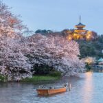 Yokohama Cherry Blossom Half Day Walking Tour with a Local Guide - Why This Tour Works Well