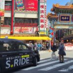 Yokohama: Chinatown Food and Culture Tour with Tea Tasting - Who Will Enjoy This Tour?