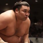 Yokohama Sumo Tour from Tokyo ( Ticket Included) | Apr 16 - The Benefits of a Hassle-Free, Guided Sumо Experience