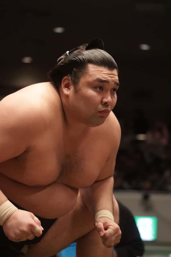 Yokohama Sumo Tour from Tokyo ( Ticket Included) | Apr 16 - The Benefits of a Hassle-Free, Guided Sumо Experience