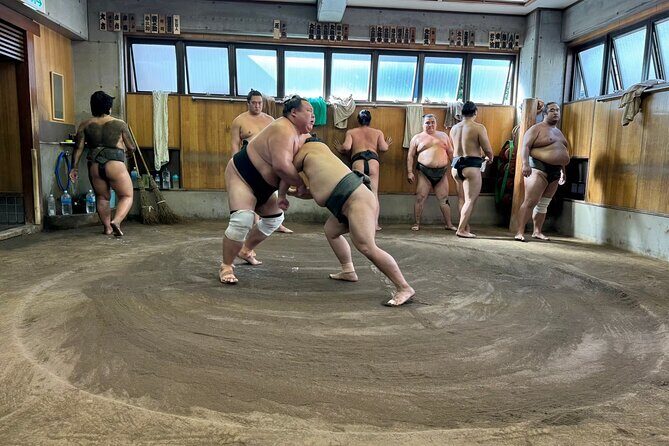 Yokuzuna Sumo Stable Morning Practice in Osaka - An In-Depth Look at the Sumo Morning Practice Tour
