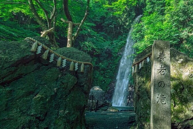 Yoro Falls and Mt. Gozaisho Scenic Ropeway from Nagoya - Authentic Opinions from Past Participants
