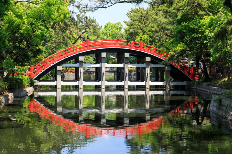 Your PERFECT Osaka Day - Custom Private Tour by Awarded Team - Who Will Love This Tour?