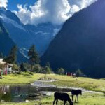 Yunnan: 4-Day Hiking Tour of Yubeng and Meili Snow Mountain - Authentic Experiences and Insights from Reviews