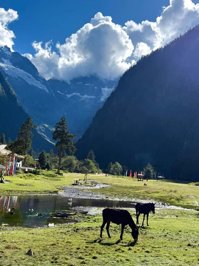 Yunnan: 4-Day Hiking Tour of Yubeng and Meili Snow Mountain - Authentic Experiences and Insights from Reviews