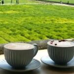 Yunnan Dali Erhai 3 Pagodas of Chongsheng Temple One Day Tour - Practical Details and What You Can Expect