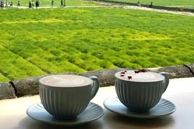 Yunnan Dali Erhai 3 Pagodas of Chongsheng Temple One Day Tour - Practical Details and What You Can Expect