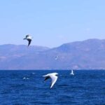 Yuxi, Yunnan: Fuxian Lake Sailing Base  60-Minute Sail - What to Expect on Your Fuxian Lake Sailing Trip