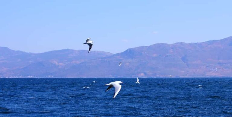 Yuxi, Yunnan: Fuxian Lake Sailing Base  60-Minute Sail - What to Expect on Your Fuxian Lake Sailing Trip