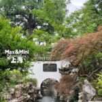 Yuyuan Garden Unlocked: A Masterclass in Chinese Aesthetics - What Makes This Tour Special?