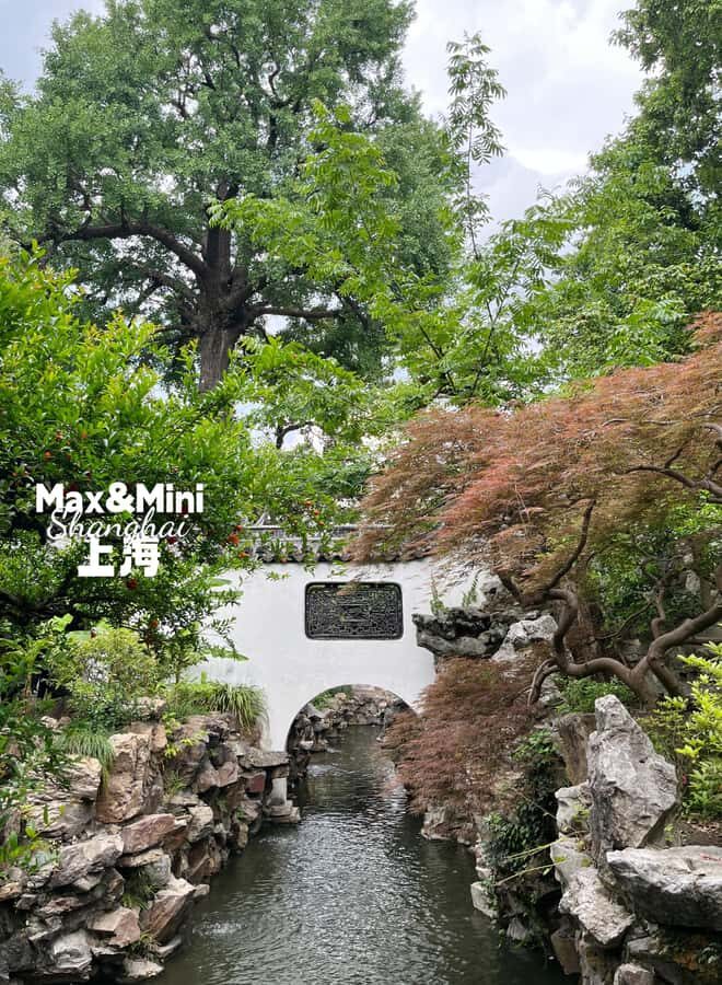 Yuyuan Garden Unlocked: A Masterclass in Chinese Aesthetics - What Makes This Tour Special?