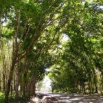 Zamboanga: Basilan Island Tour with Hotel Transfer - Practical Considerations and Tips