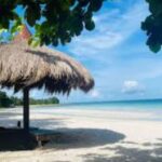 Zamboanga City: Basilan Island Day Trip with Lunch - Practical Tips for Making the Most of Your Trip