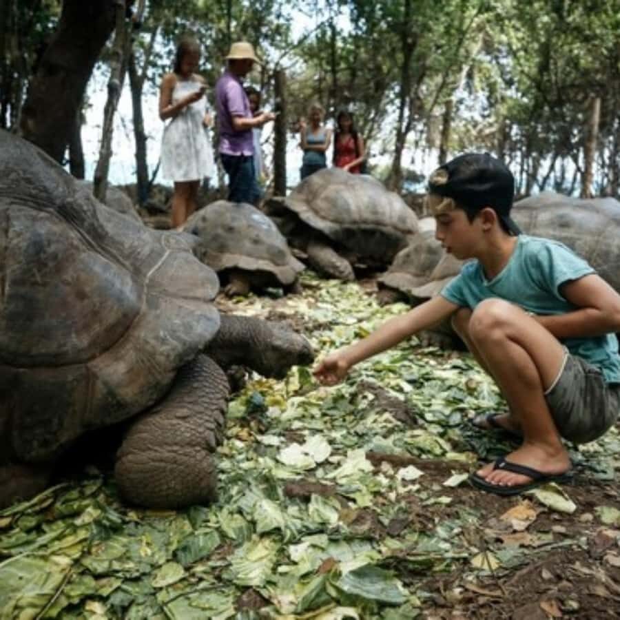 Zanzibar: Prison Island, Stone Town, & Spice Farm Tour - Detailed Breakdown of the Itinerary