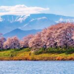 Zao Snow Wall & Sakura with Hanami Lunch Box Bus Tour from Sendai - Final Thoughts