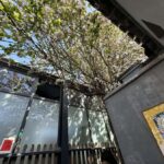 Zen Beijing: Guided Meditation, Tea & Hutong Culture Walk - An In-Depth Look at the Experience