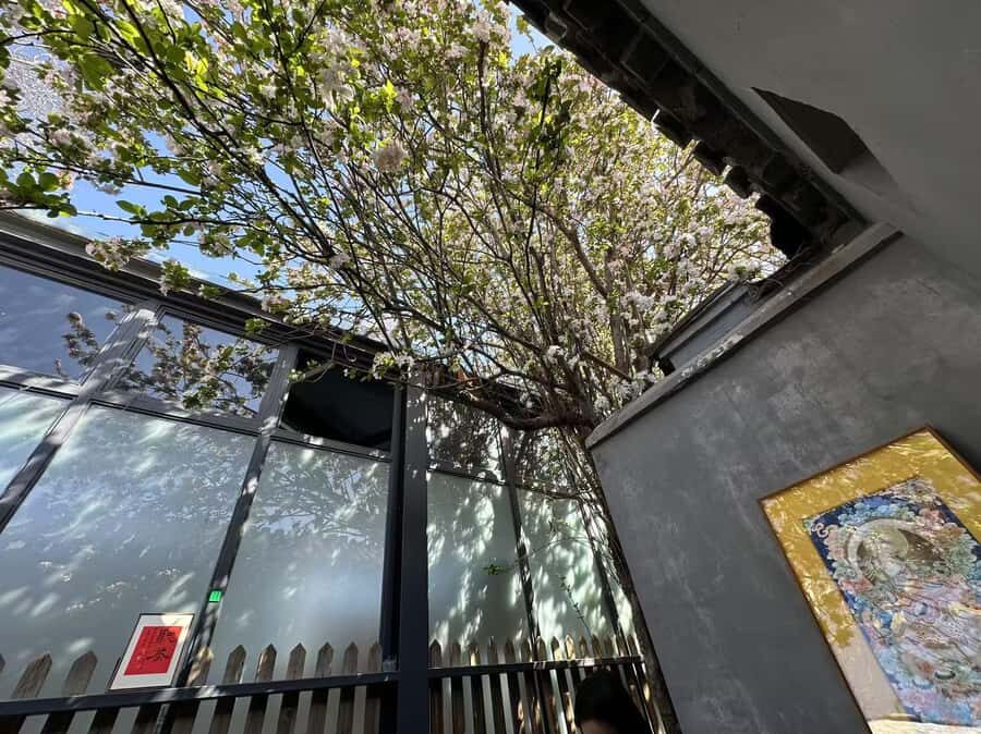 Zen Beijing: Guided Meditation, Tea & Hutong Culture Walk - An In-Depth Look at the Experience