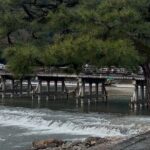 Zen Run in Arashiyama - An In-Depth Look at the Zen Run Experience