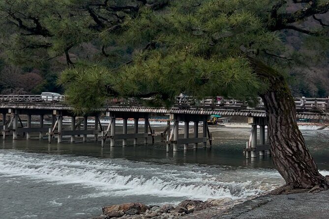 Zen Run in Arashiyama - An In-Depth Look at the Zen Run Experience