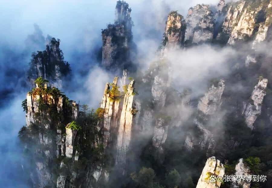 Zhangjiajie Private Tour MT.Avatar or Furong+Fenghuang town - Practical Details and Tips