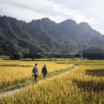 Zhangjiajie: Tujia Village & Sandstone Art Workshop Tour - What To Expect & Practical Details