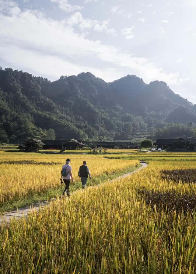 Zhangjiajie: Tujia Village & Sandstone Art Workshop Tour - What To Expect & Practical Details