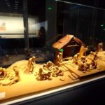 Zhengzhou: Shang Dynasty Cultural Heritage Tour - A Complete Breakdown of the Tour Experience