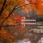 Zhongshan Botanical Garden Entry Ticket - Who Will Love This Tour?