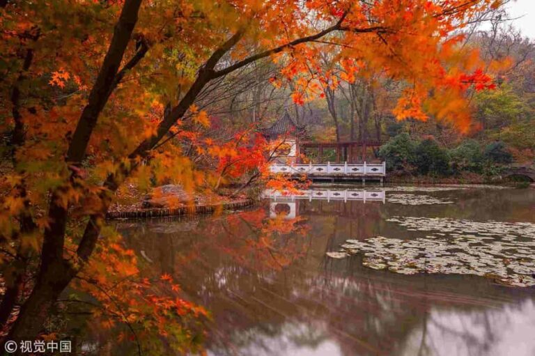 Zhongshan Botanical Garden Entry Ticket - Who Will Love This Tour?
