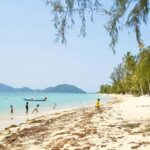 Zipline in Koh Samui Adventure activity tour - The Zipline Adventure: What to Expect