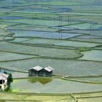Ziro in a Day: Culture, Craft & Countryside Adventure Tour - An Overview of the Ziro in a Day Tour