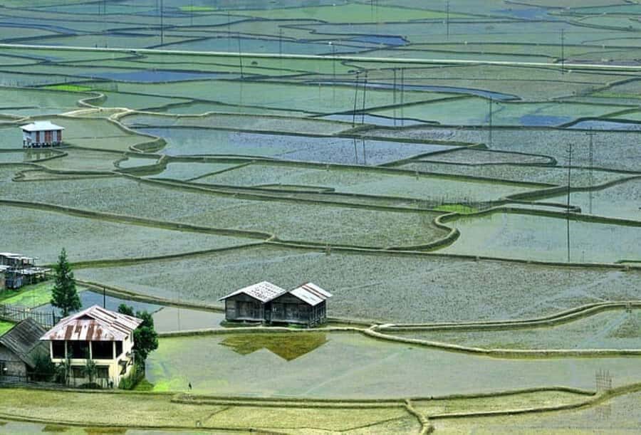 Ziro in a Day: Culture, Craft & Countryside Adventure Tour - An Overview of the Ziro in a Day Tour