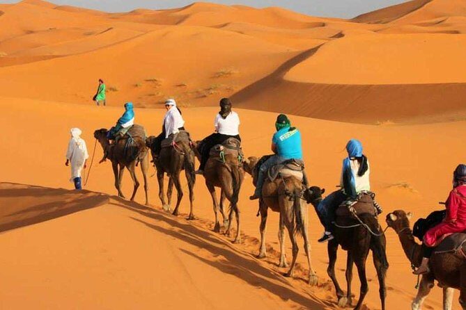 3 Days Desert Tour From Marrakech To Merzouga Dunes & Camel Trek - Day 2: Todra/Tinghir area → Merzouga → Erg Chebbi camel trek