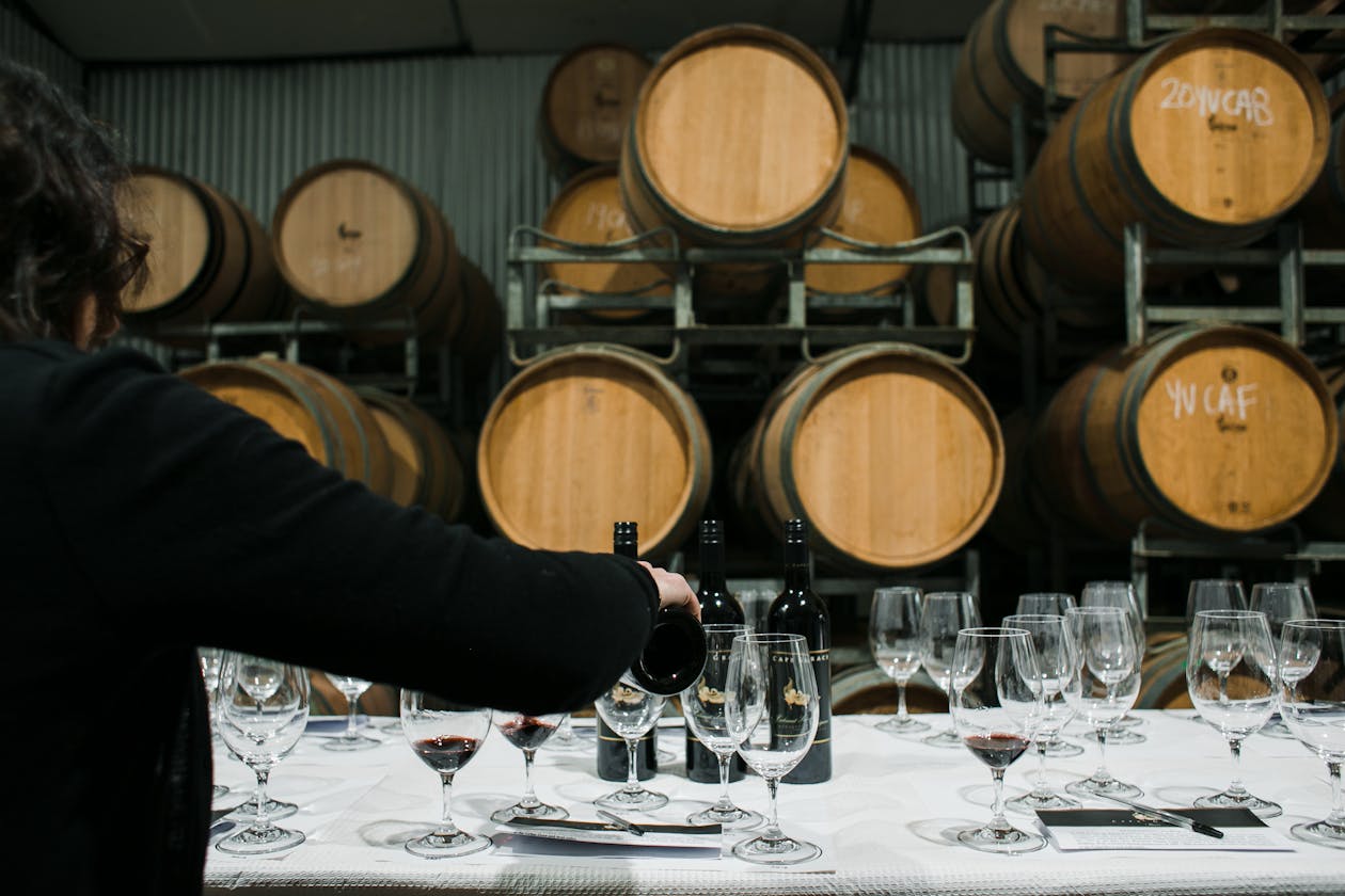 Sommelier pouring wine into glasses in a wine cellar with barrels