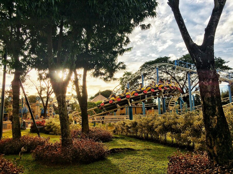 Vibrant amusement park scene with roller coaster winding among lush trees and grass